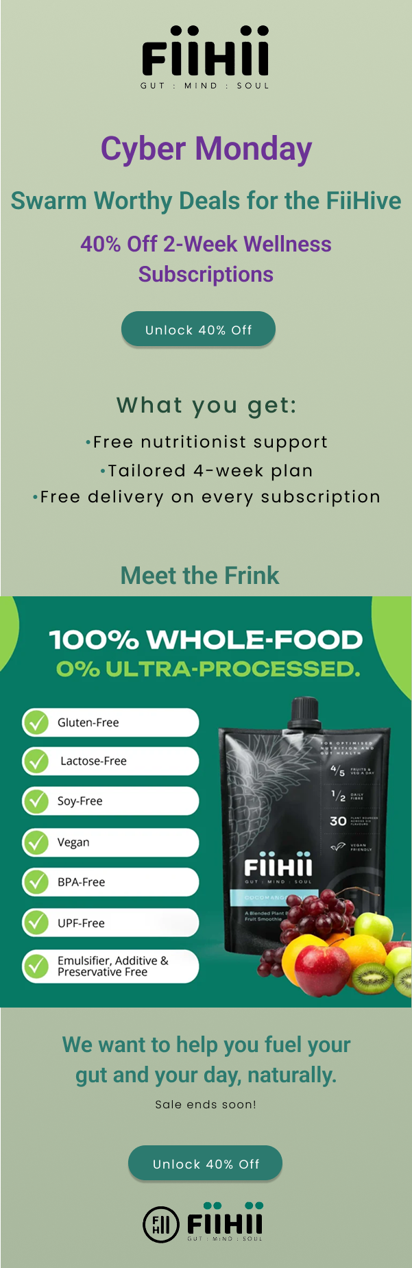 Preview of the Fiihii Cyber Monday launch email design